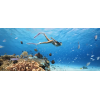 Камера GoPro HERO11 Black Mini (CHDHF-111-TH) Екшн-камера Екшн-відеокамера + подарунок SD карта