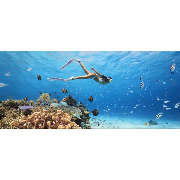Камера GoPro HERO11 Black Mini (CHDHF-111-TH) Екшн-камера Екшн-відеокамера + подарунок SD карта